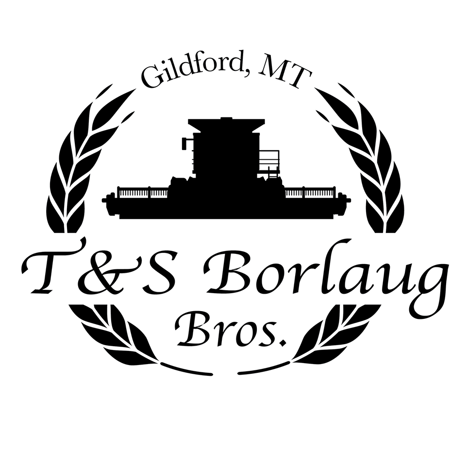 Borlaug Montana Logo Design by Elevate Montana Marketing
