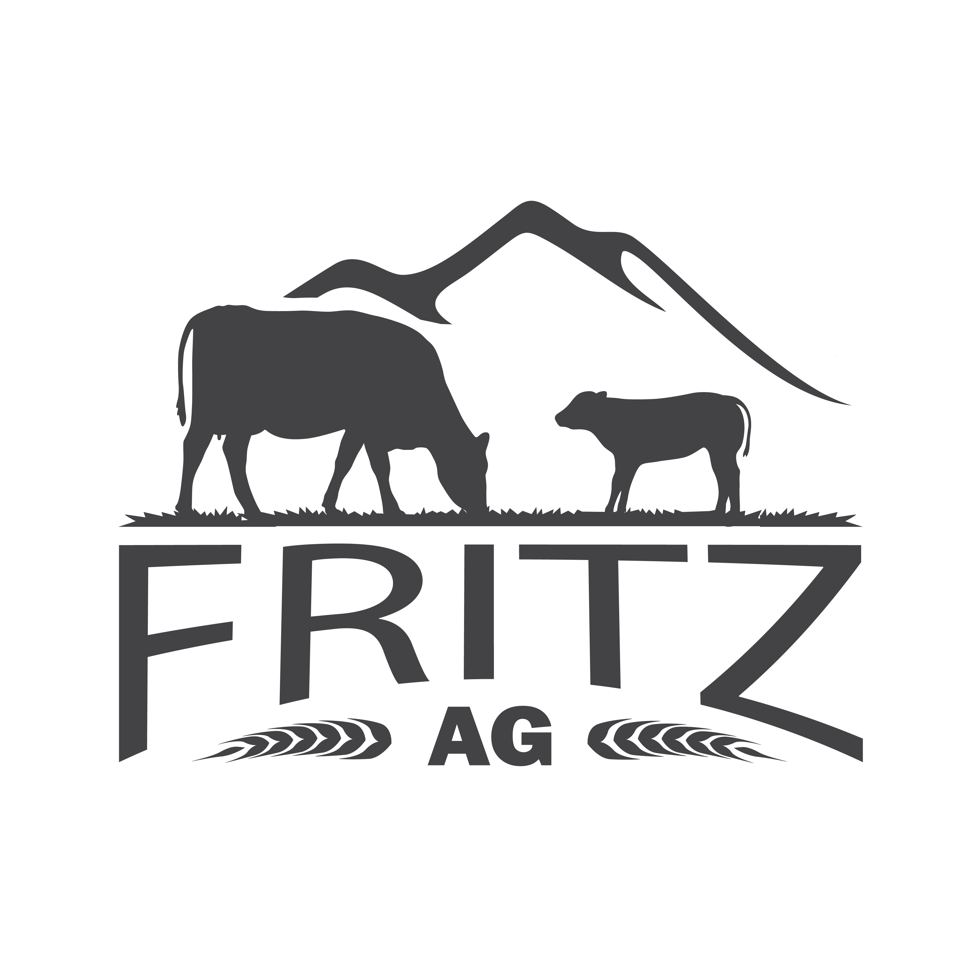 Fritz Ag Logo