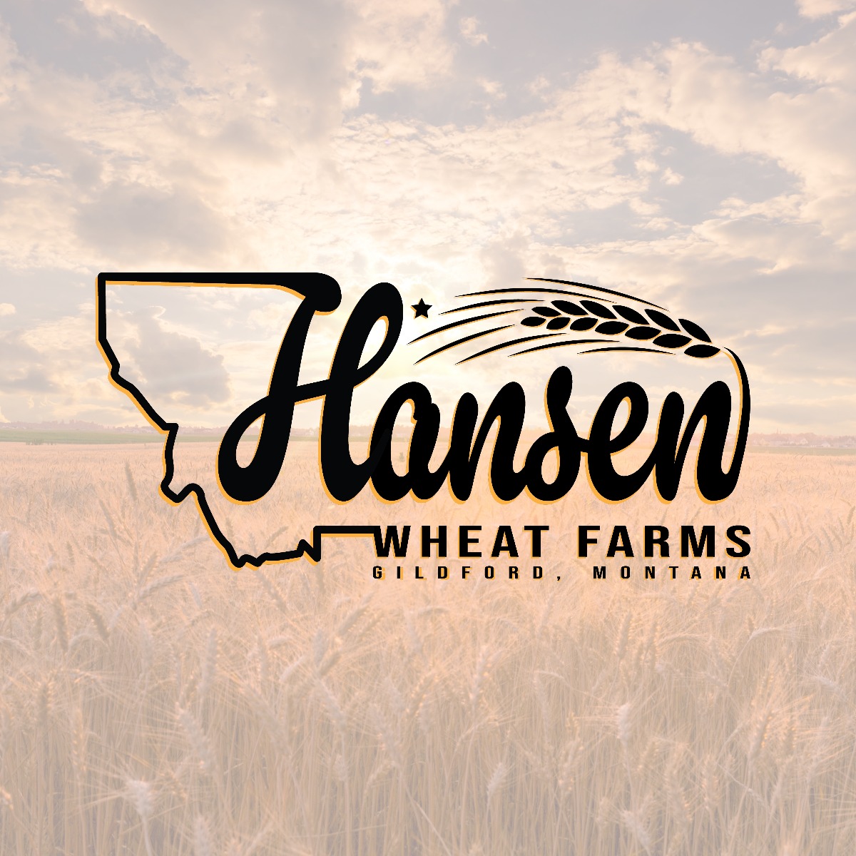 Hansen Wheat Farms Logo Design by Elevate Montana Marketing