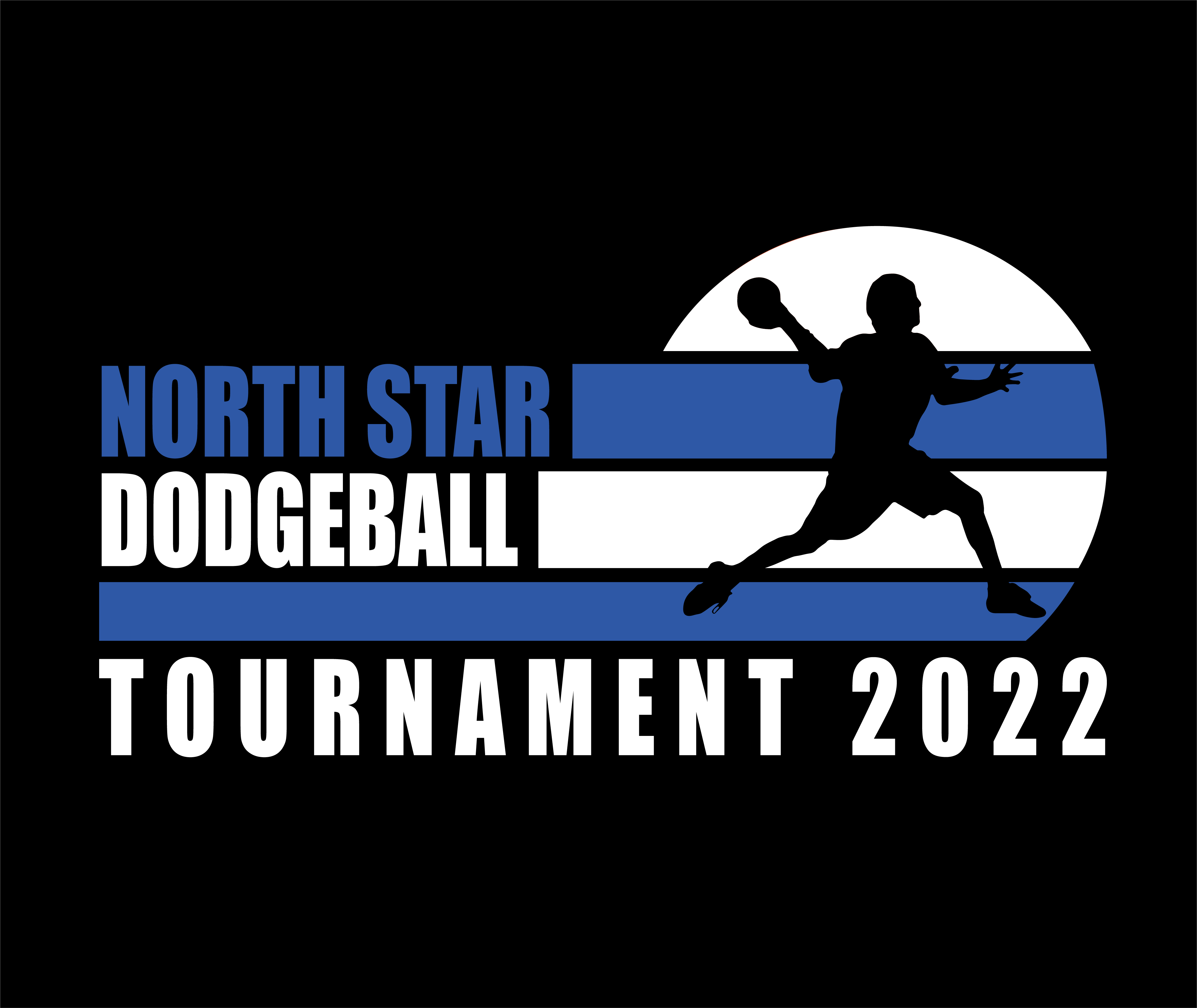 NS Dodgeball Logo