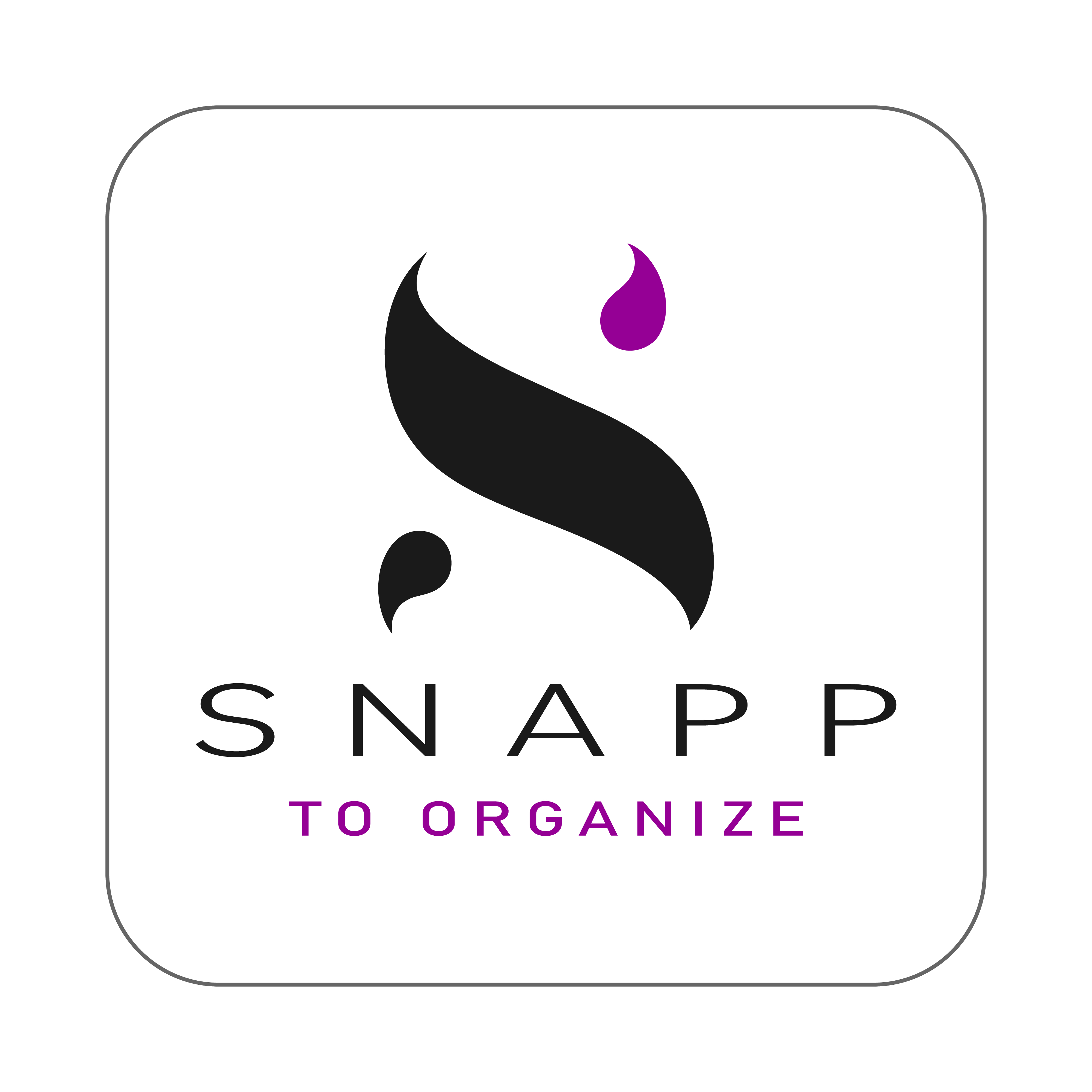 Snapp to Organize Logo