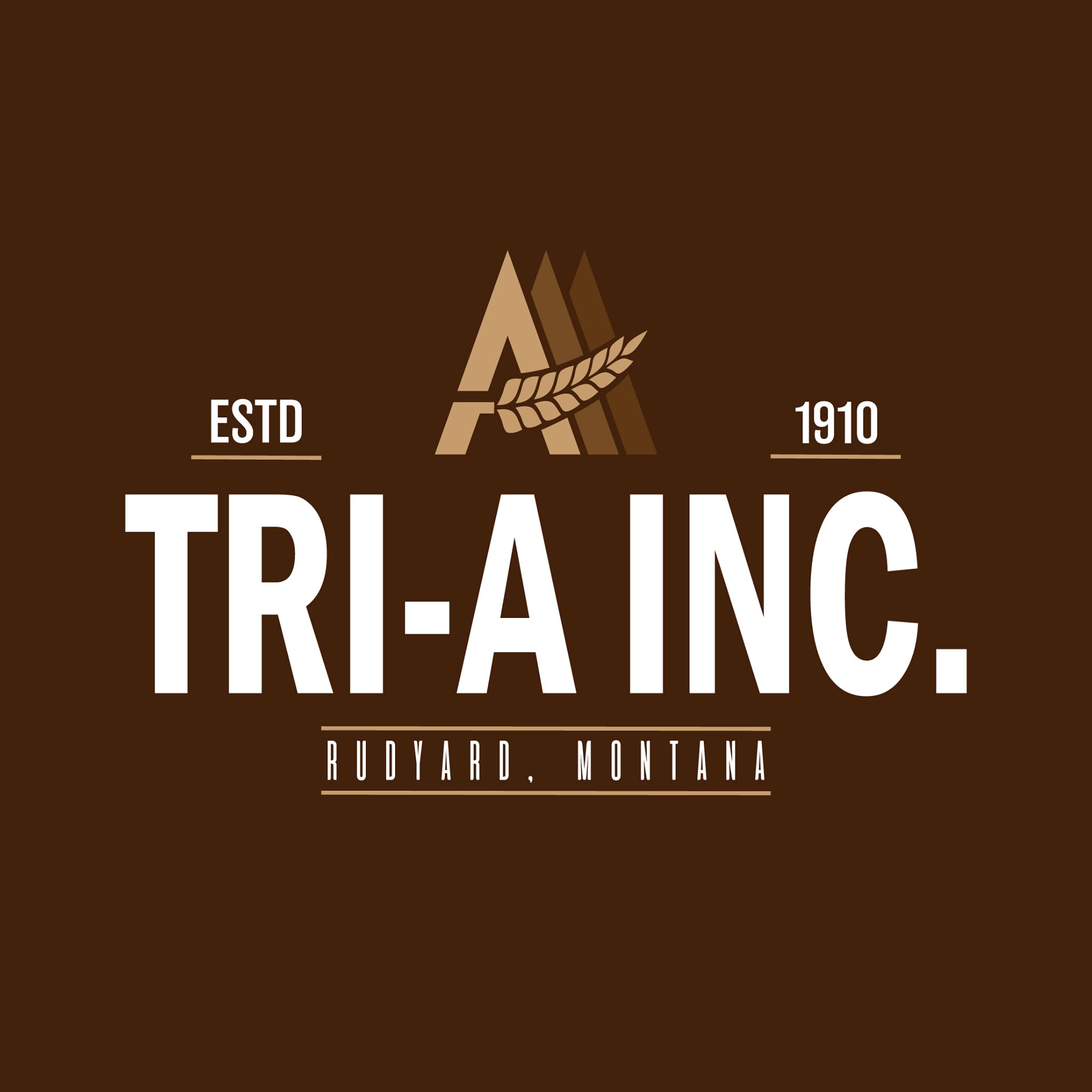 Tri A Logo Design by Elevate Montana Marketing